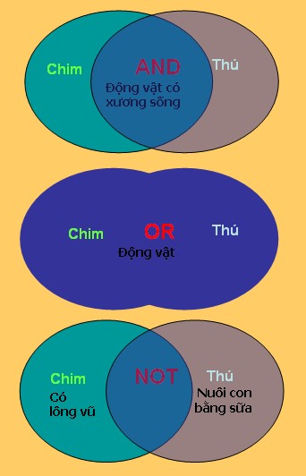To&aacute;n tử Boolean
